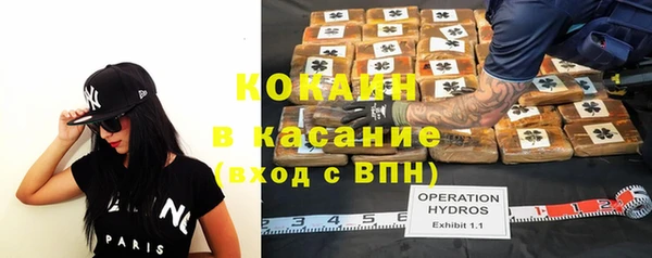 стаф Гусь-Хрустальный