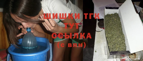 стаф Гусь-Хрустальный