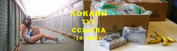 стаф Гусь-Хрустальный