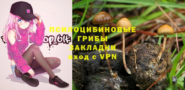мет Горно-Алтайск