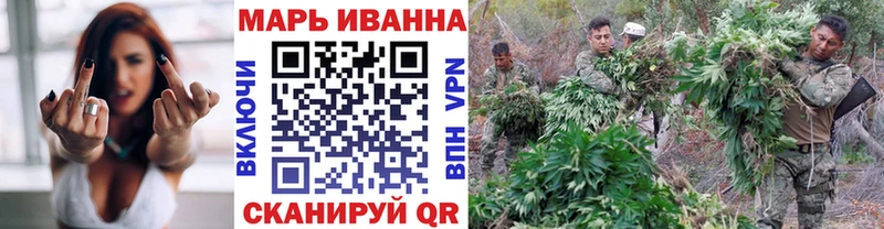 Купить закладки Кировск Конопля сатива